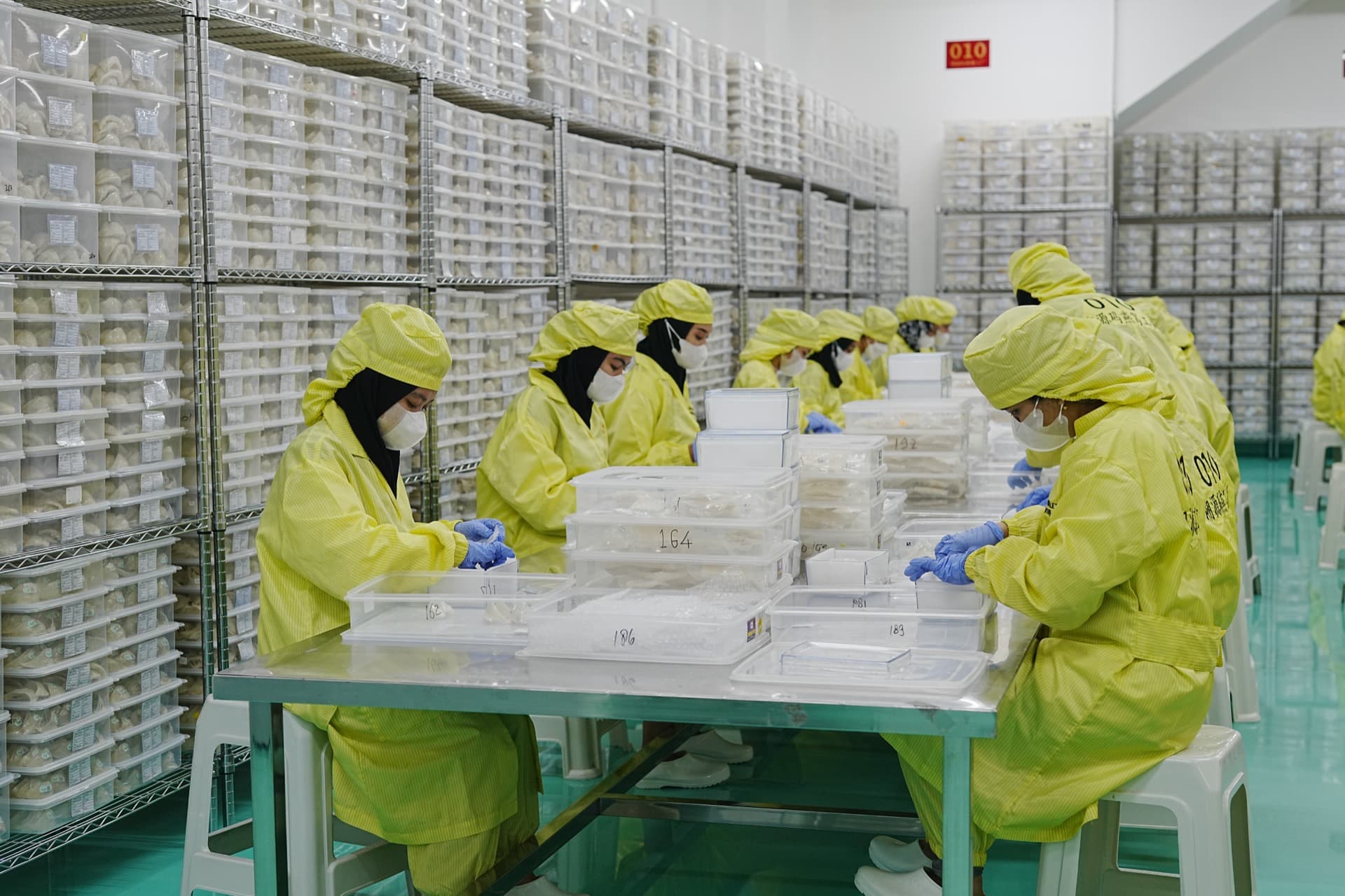 Cleanroom sorting facility