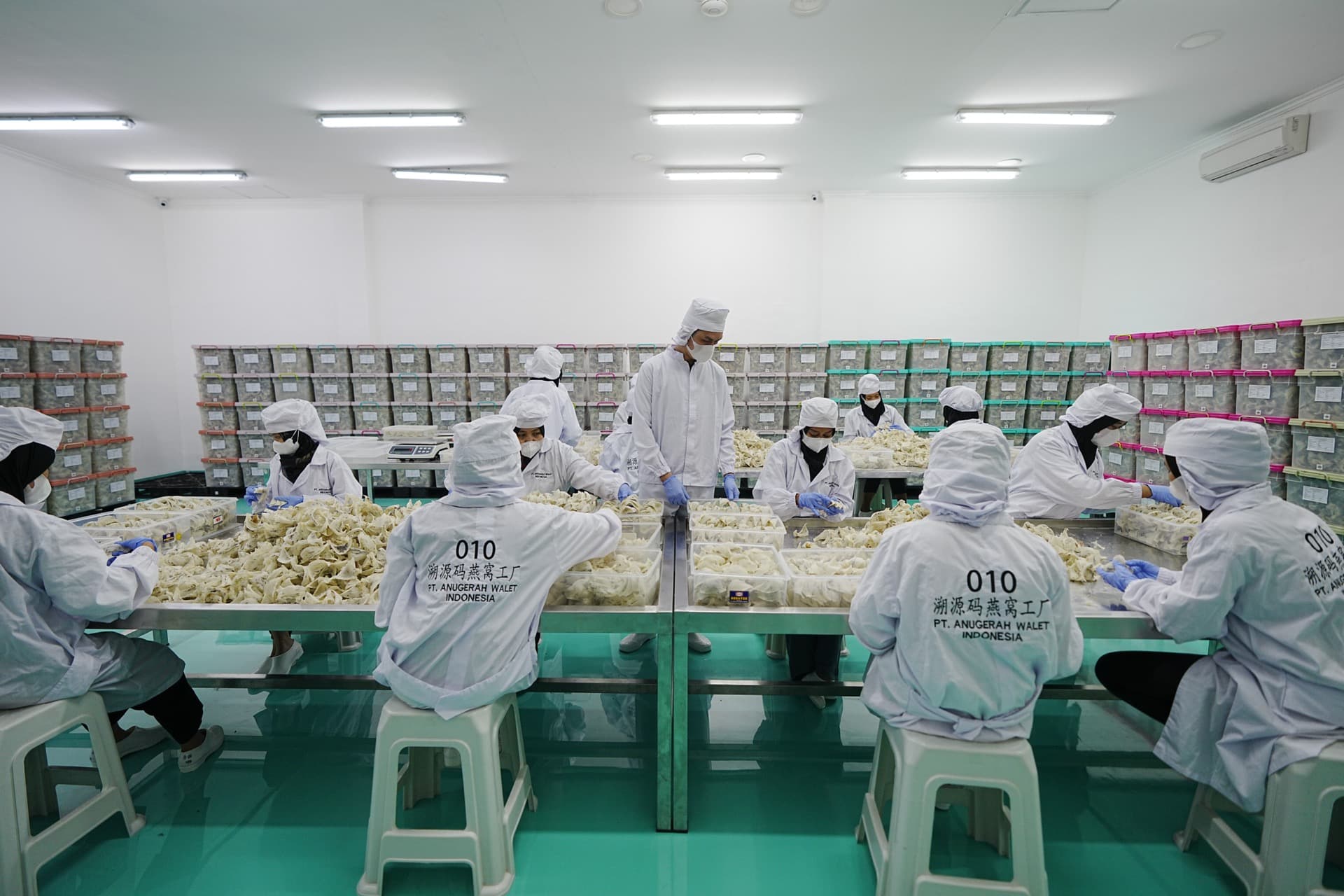 Workers sorting bird nests